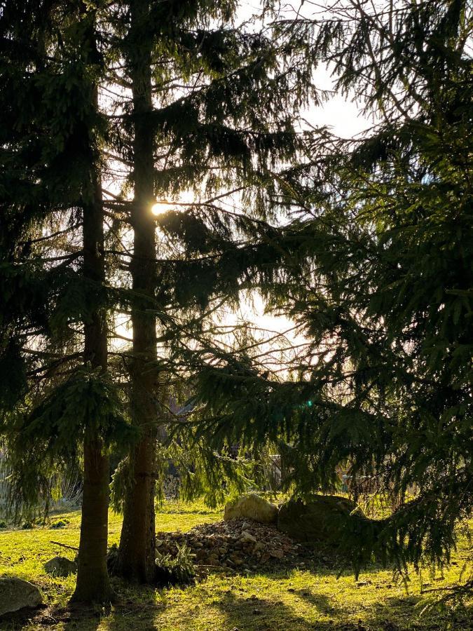Ragnar Glamp Milzkalne Forest