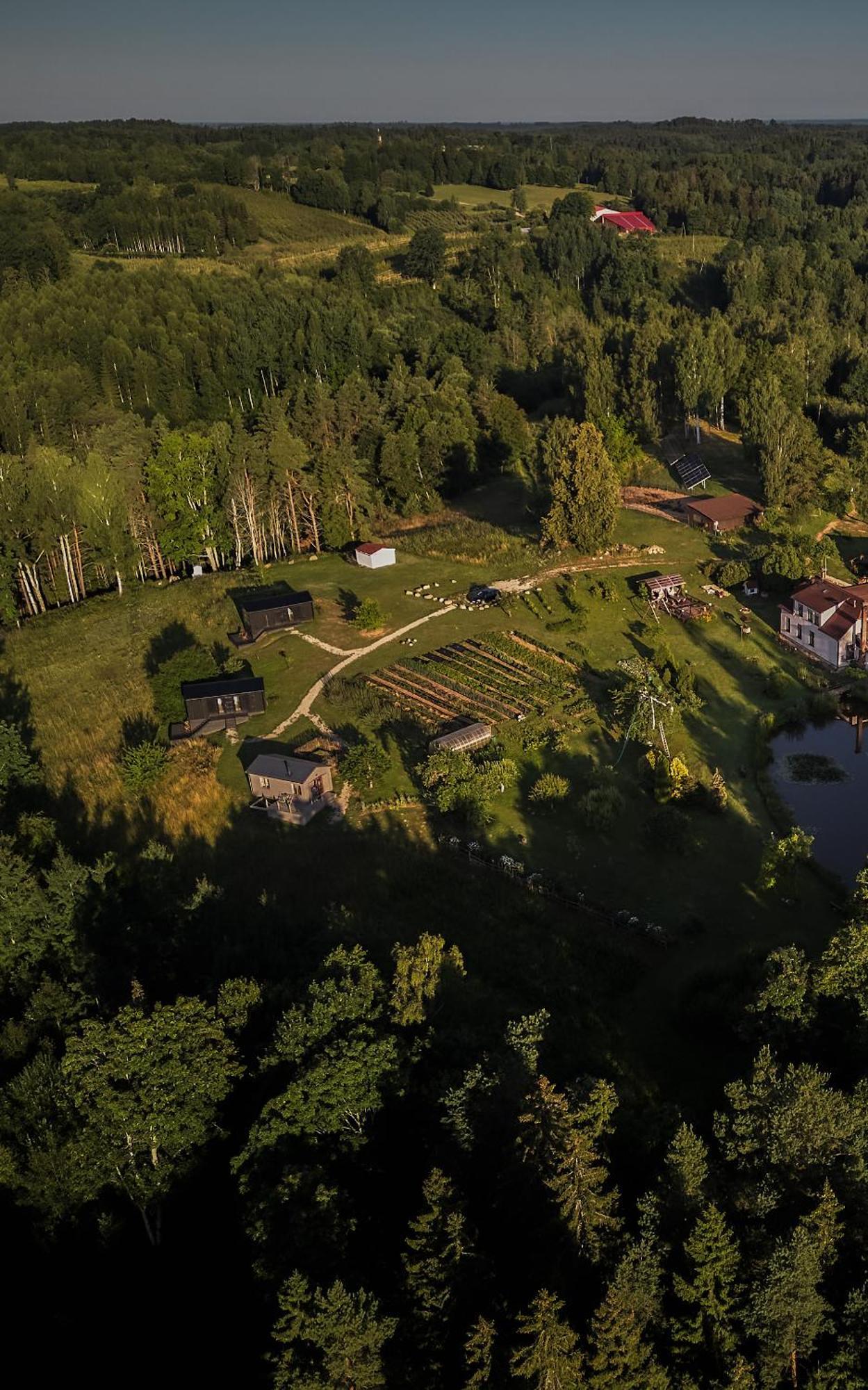 Ragnar Glamp Milzkalne Forest Rauda